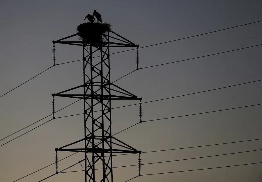 El BEI destina 1.600 millones de euros a la interconexión eléctrica del golfo de Vizcaya entre España y Francia