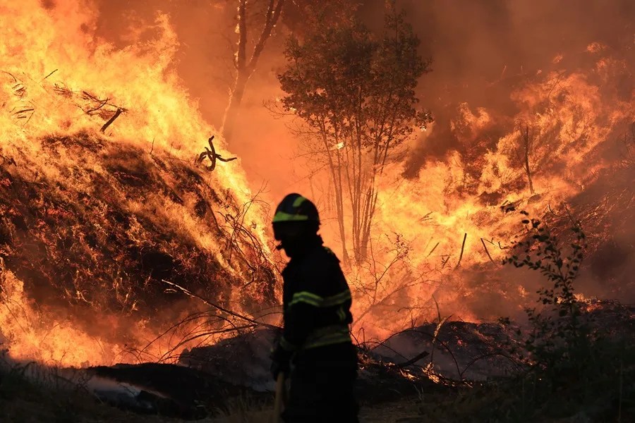 Más de 2.800 bomberos combaten las llamas en 35 incendios forestales en Portugal