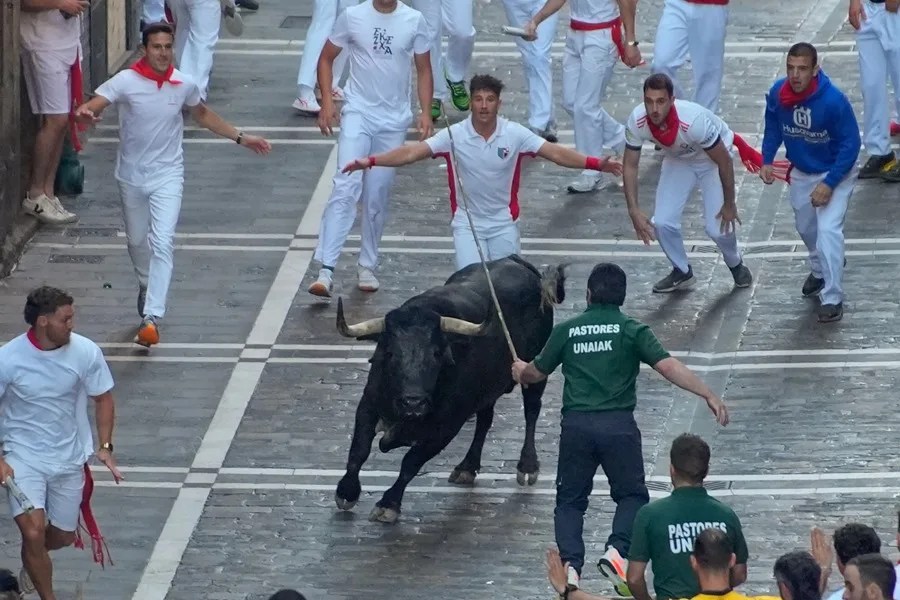 La ganadería de Álvaro Núñez se estrena en los Sanfermines