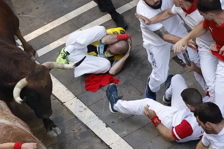 Los rápidos y peligrosos Jandilla, protagonistas del encierro del 11 de julio en Pamplona