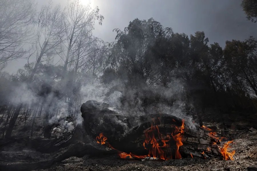 Tres heridos y miles de desalojados en España por los incendios en varias regiones del país