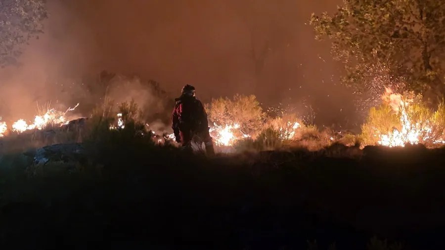 Los efectivos creen que hoy puede ser el día clave en la extinción del incendio de Jarilla