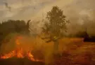 Última hora de los incendios: 21 fuegos graves persisten pese a la tregua de calor