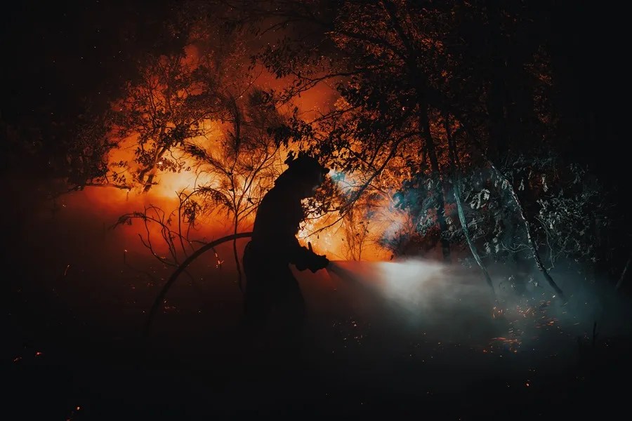 El Gobierno declarará zona de emergencia los territorios afectados por los incendios