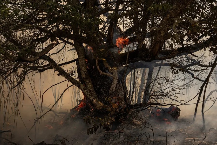 España se acerca a las 400.000 hectáreas arrasadas por el fuego en lo que va de 2025