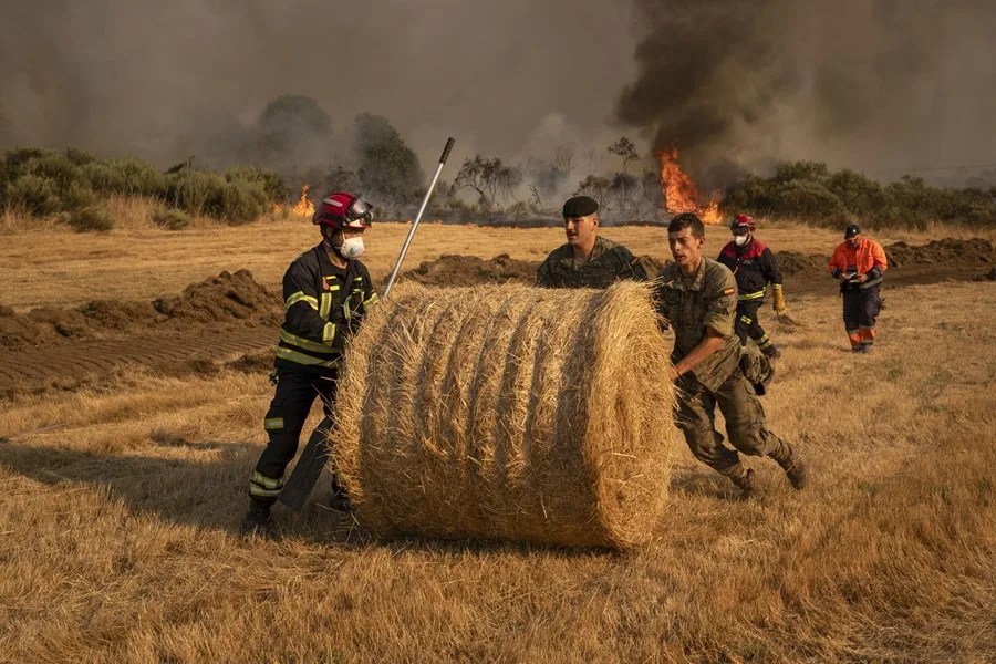 Última hora de los incendios: se reanuda el AVE Galicia-Madrid entre 20 fuegos aún graves