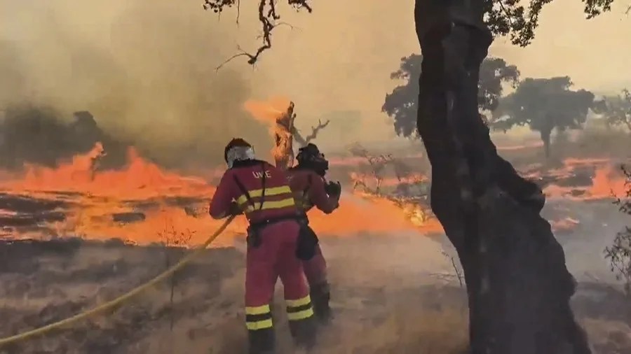 El Gobierno asegura haber puesto todos los medios a disposición de las comunidades contra el fuego