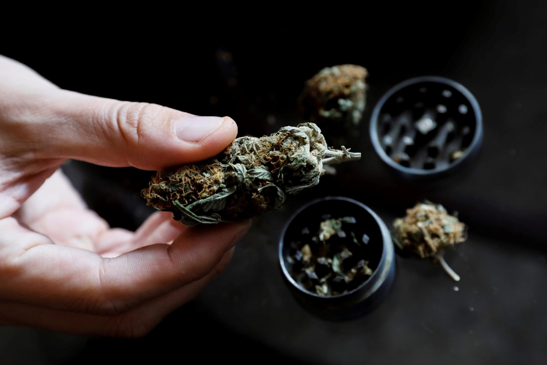 Llega el cannabis medicinal a España: en ciertos casos, con receta del especialista y en hospitales