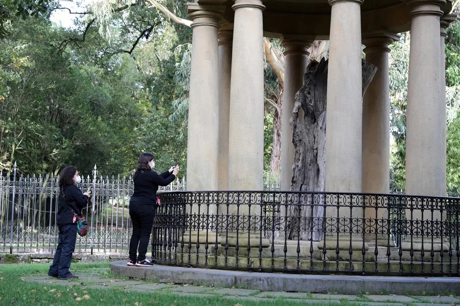 El presidente de Alemania inicia una visita de Estado a España e irá con Felipe VI a Gernika