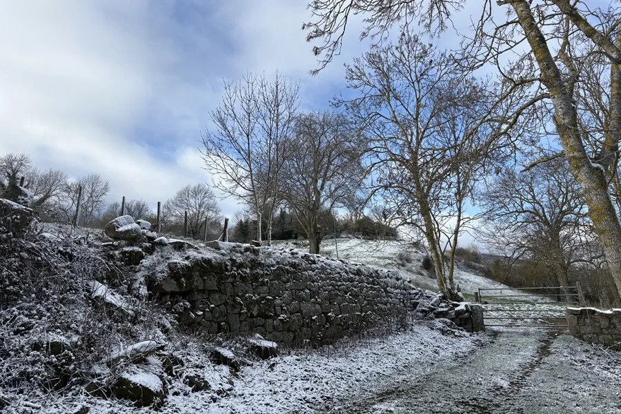 Quince carreteras afectadas por el hielo y la nieve, que cierran ocho vías