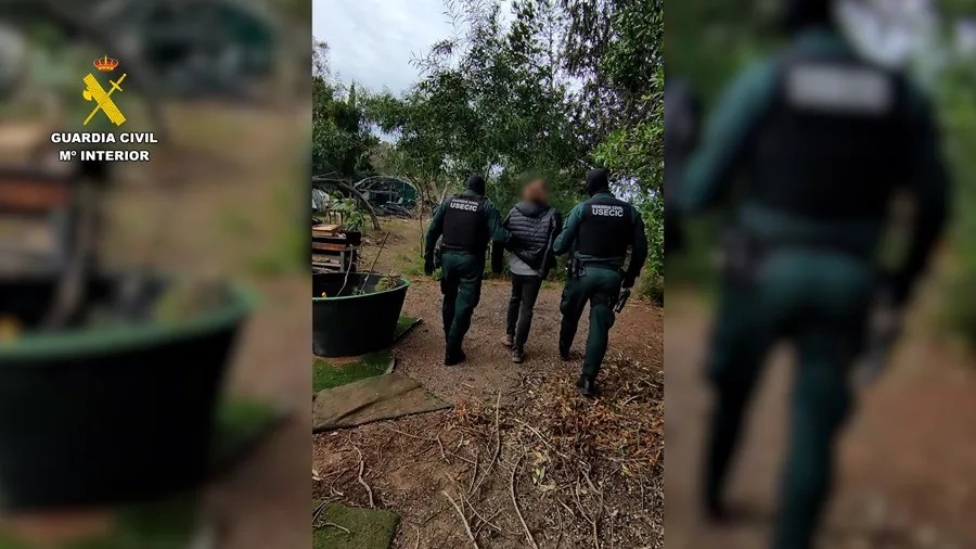 Detenidos cuatro cabecillas de Anonymous en España por ciberataques a organismos públicos