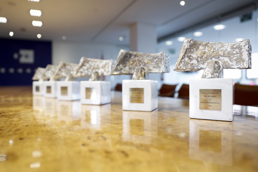 Trabajos sobre la muerte, migrantes o incendios, finalistas de los Premios Rey de España