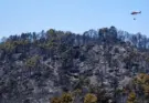 El incendio de Ávila ha quemado 50.000 hectáreas, el mayor fuego de la historia de España