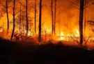 Los incendios alcanzan cifras inéditas en Francia, con 200.000 evacuados en el suroeste