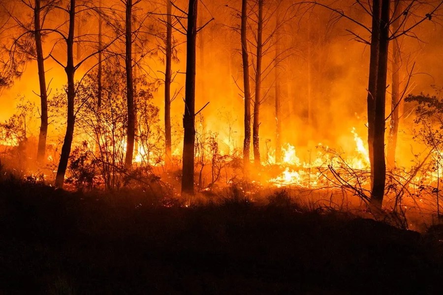 Los incendios alcanzan cifras inéditas en Francia, con 200.000 evacuados en el suroeste