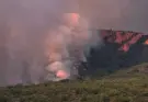 Incendios en España: El incendio de Castellón sigue sin ser estabilizado y la situación es favorable en Zamora