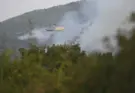 Incendios en España: Evolución «favorable» pero máxima prudencia en la lucha contra diez incendios en España