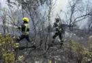 Más de 115.000 evacuados por los incendios de Madrid, Ávila y Castellón