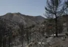 El incendio de la Vall d’Uixó (Castellón) mantiene su perímetro y afronta una noche «crítica»