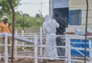 Agencia de salud pública de la Unión Africana: El brote de ébola en RDC podría ser tres veces mayor al número de casos confirmados