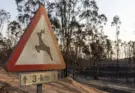 El incendio de Niebla (Huelva) supera ya las 20.000 hectáreas afectadas