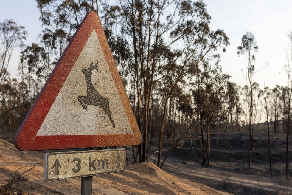 El incendio de Niebla (Huelva) supera ya las 20.000 hectáreas afectadas