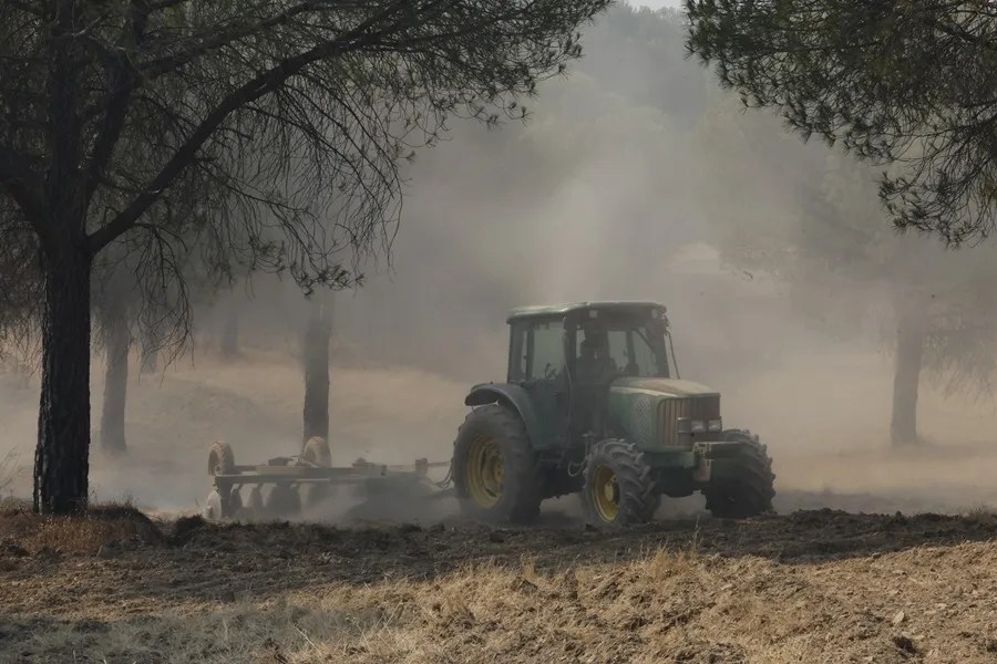Un cambio en el patrón del viento abre una «ventana de oportunidad» en el fuego de Niebla (Huelva), que ha quemado ya 25.000 hectáreas