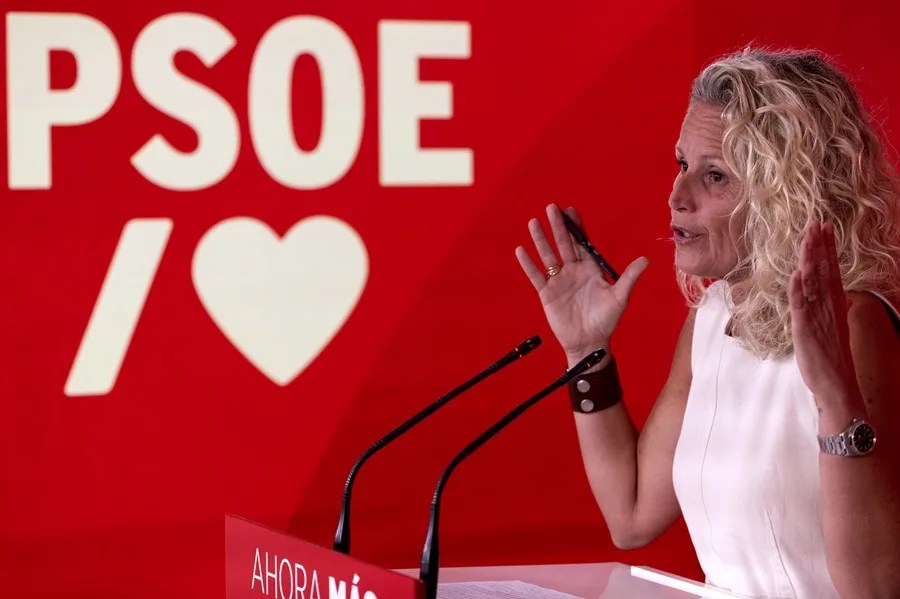 El PSOE no comparte la decisión del Supremo sobre la ley de nietos, pero la acata